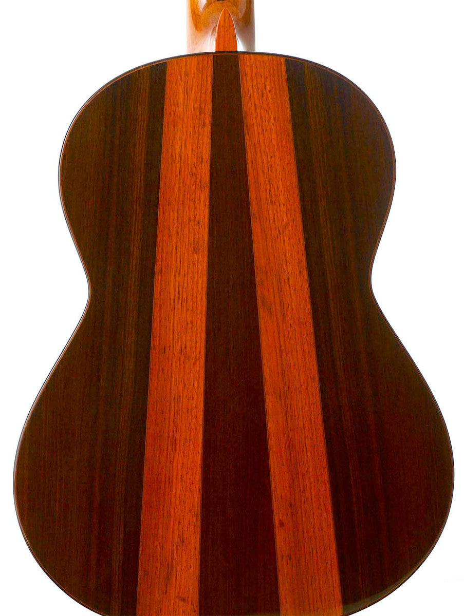 tr-delvino-3-coral.jpg